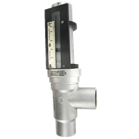 Series STFLO Stainless Steel Flowmeter